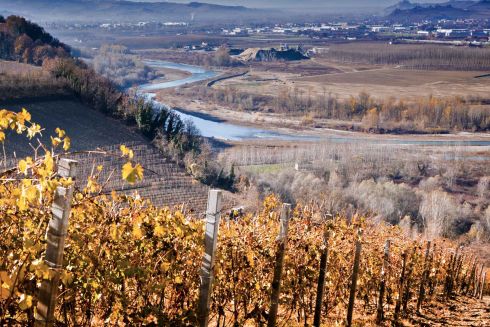 langhe-vineyard-seen-by-barbaresco-piedmont-with-tanaro-river