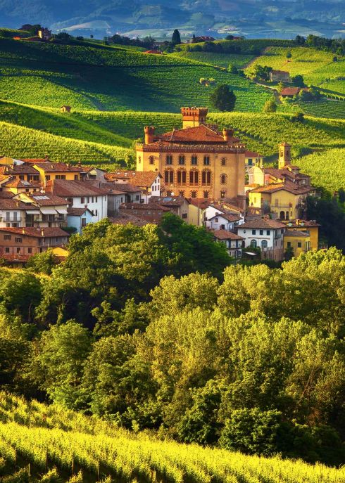 langhe-vineyards-Barolo village, Unesco Site, Piedmont, Northern Italy